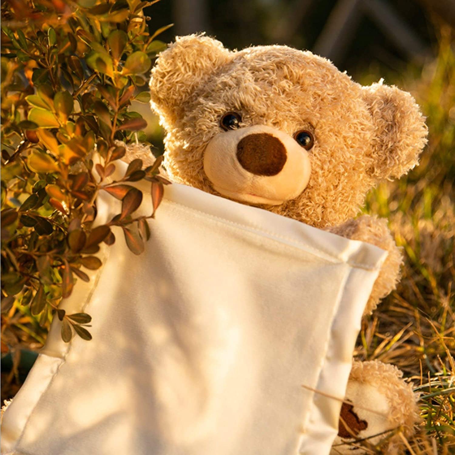 Peekaboo Teddy bear en peluche 3